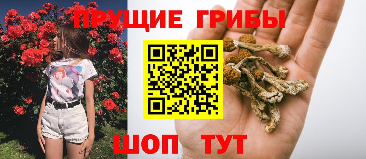 Галлюциногенные грибы MAGIC MUSHROOMS  Галлюциногенные грибы Psilocybine cubensis  Вход с VPN  Лиски 